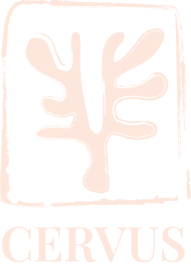 Logo cervus